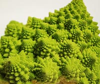 Romanesco