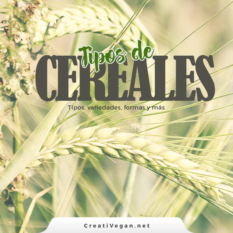 Tipos de cereales: variedades, formas, etc. - CreatiVegan.net