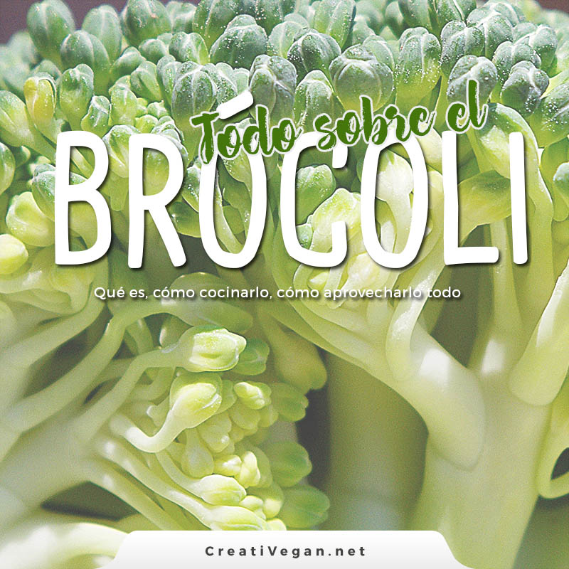 Todo sobre el brócoli: variedades, cómo elegirlo, cómo cocinarlo, etc. - CreatiVegan.net