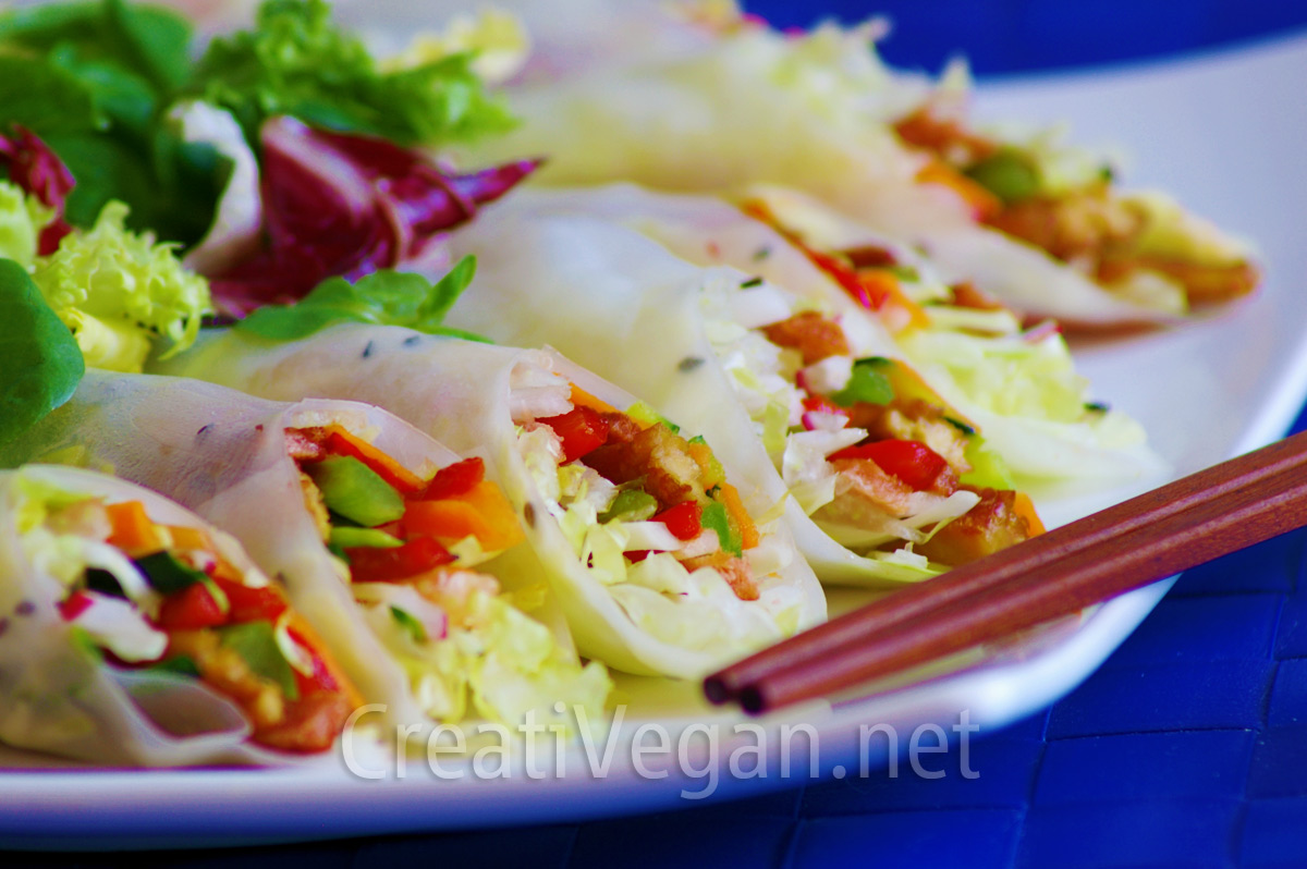 rollitos vietnamitas con tempeh y verduras