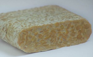 Bloque de tempeh