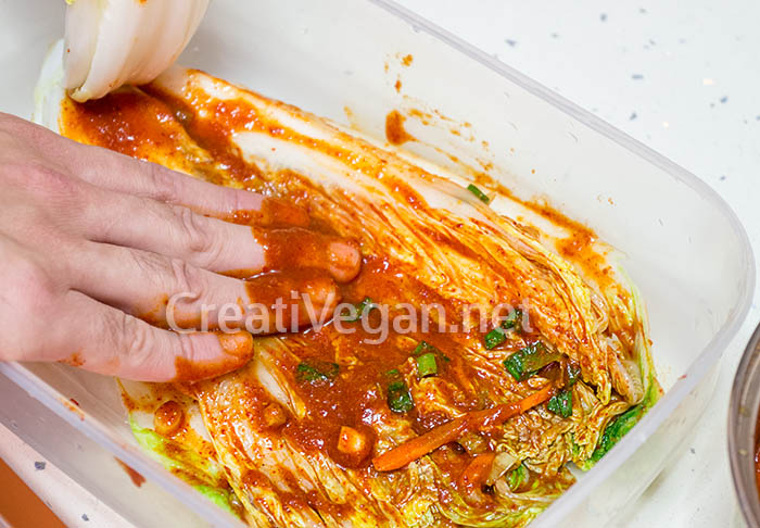 Rellenando hojas de col china para hacer kimchi